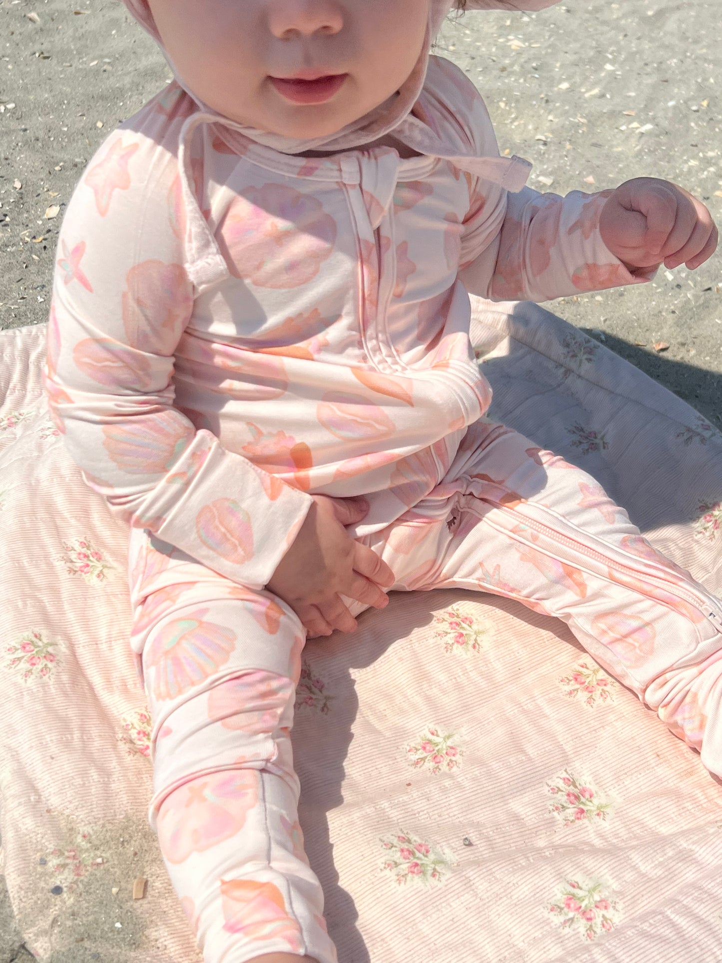 Seashell Zippy