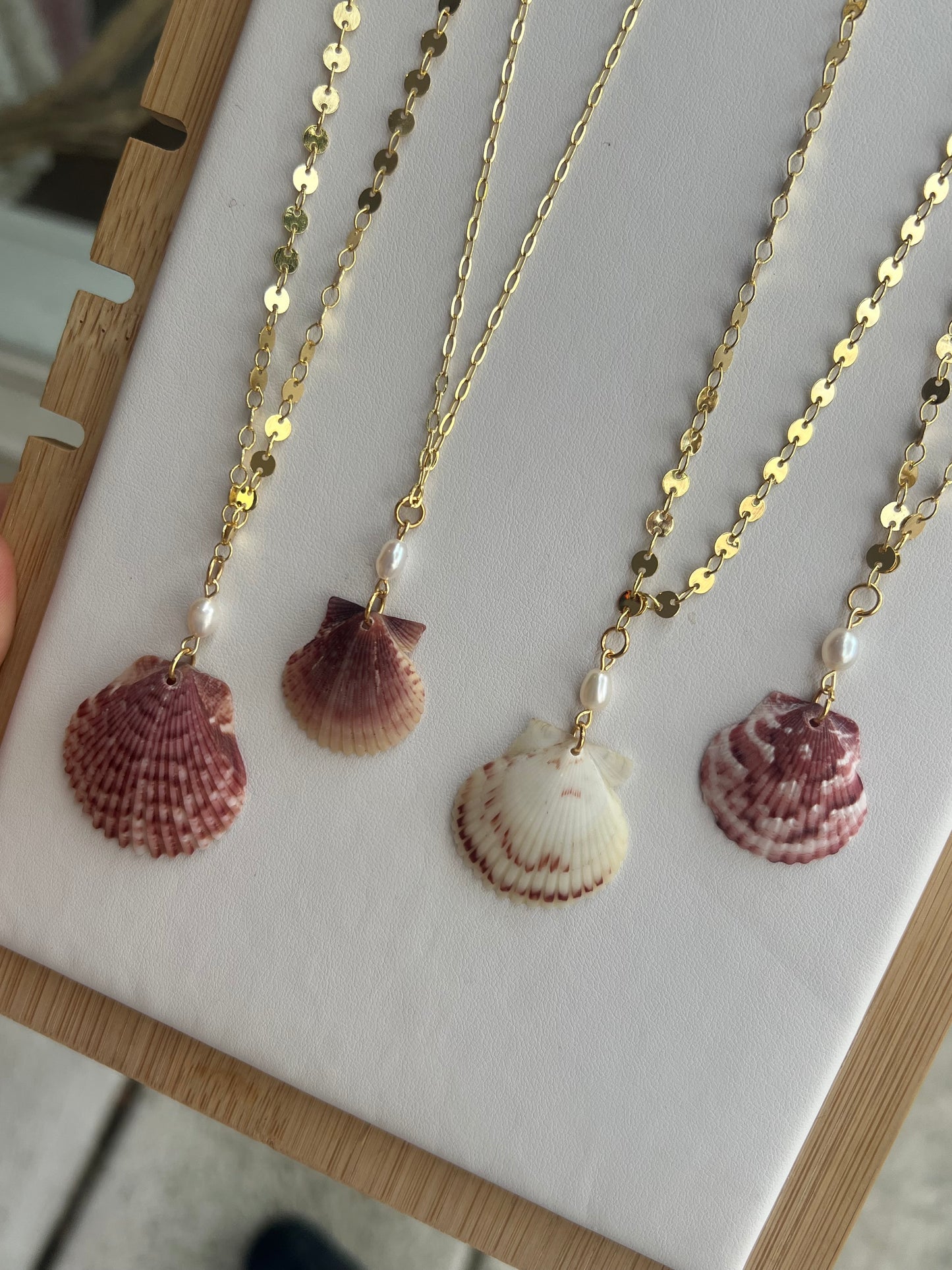 Sunbleached Scallop Necklace