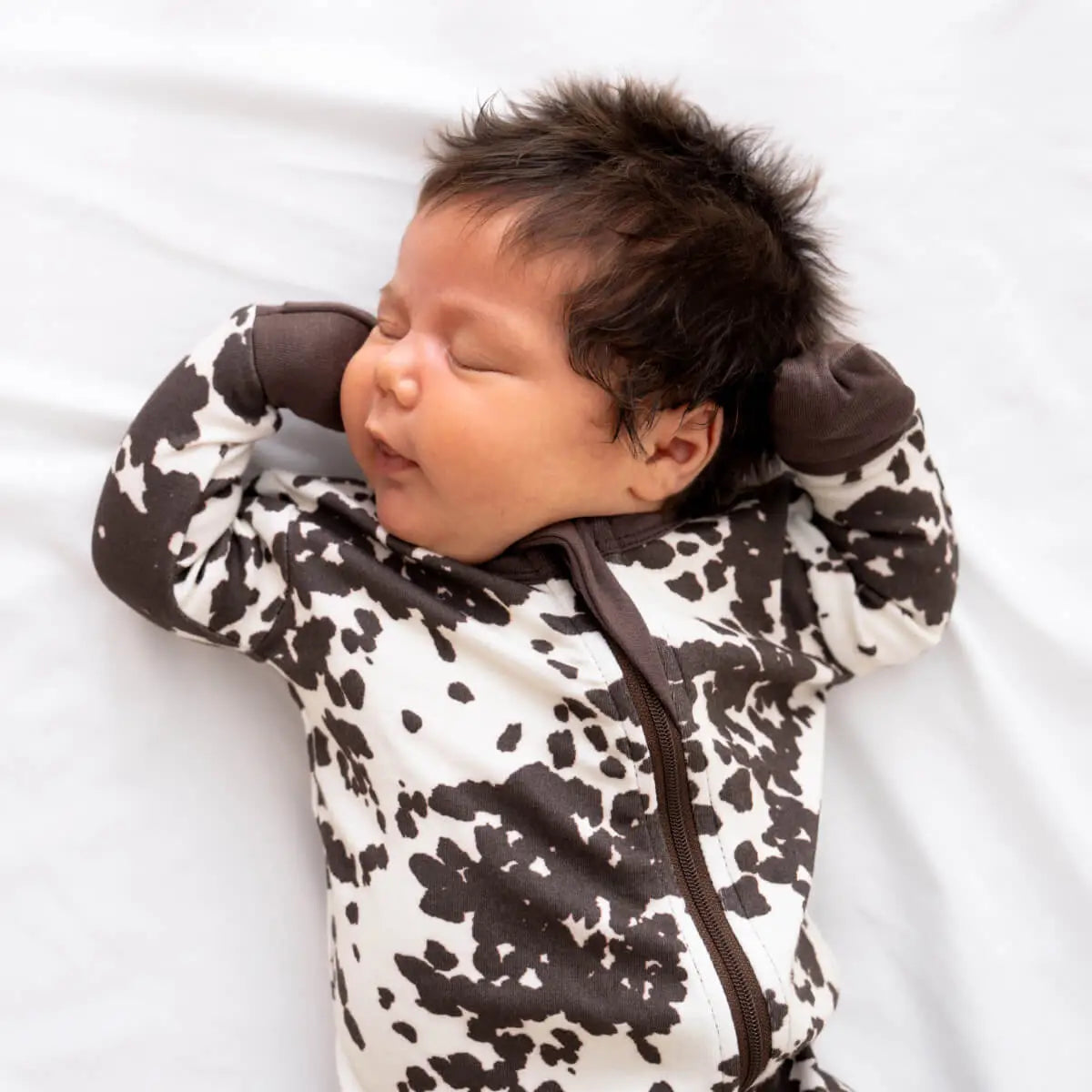 Little Rancher Zippy