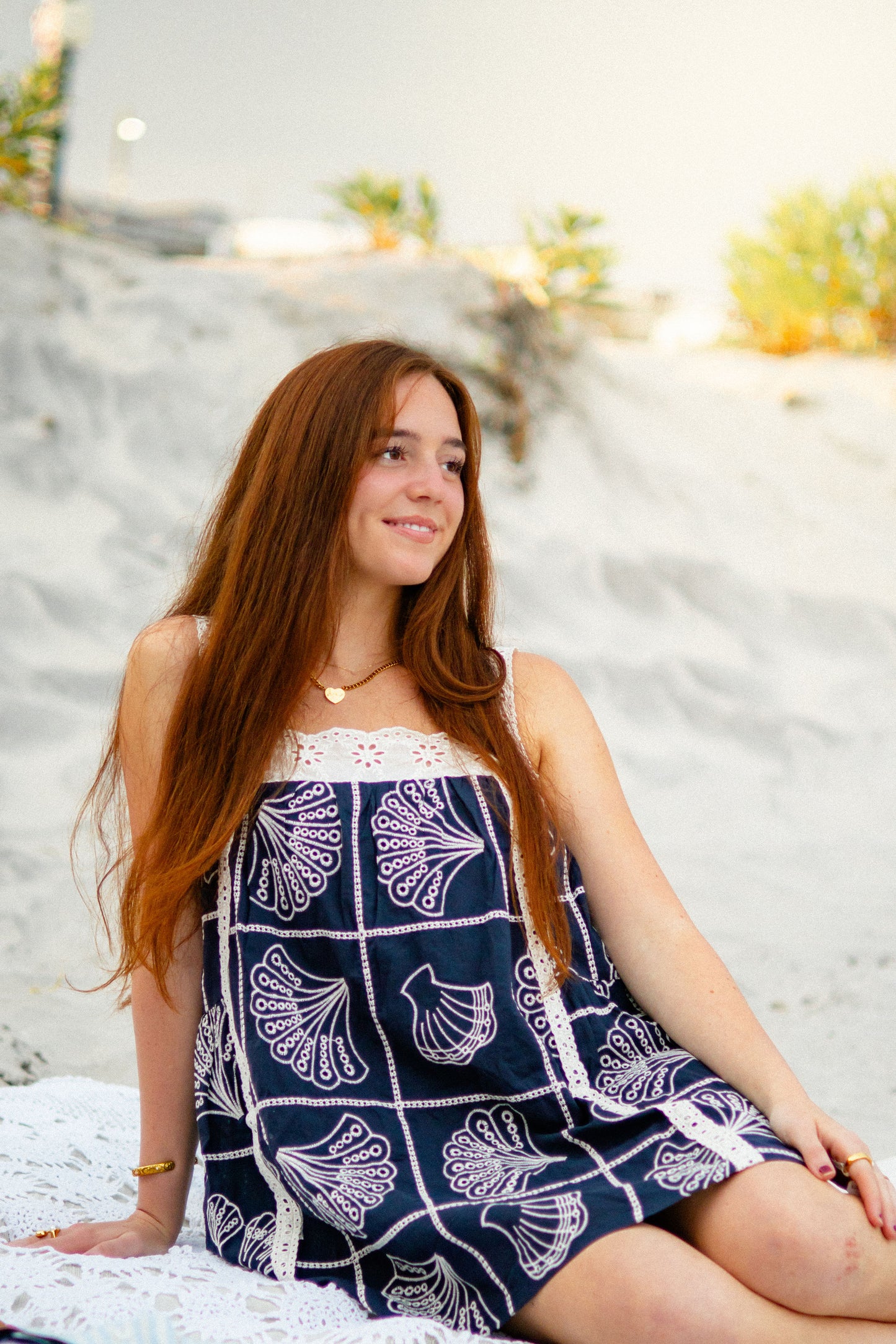 Navy Coastal Embroidery Dress