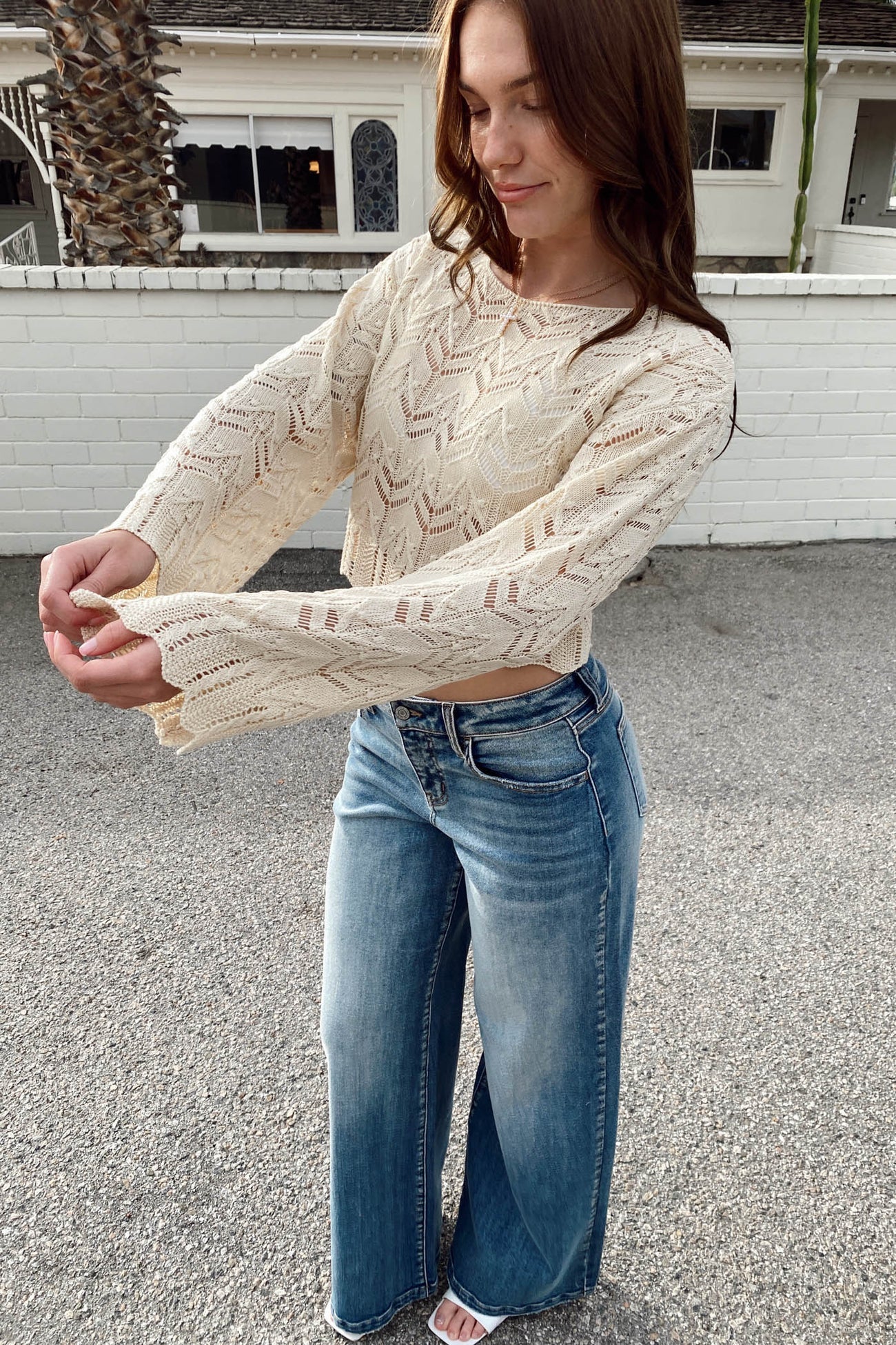 Crochet Longe Sleeve Top