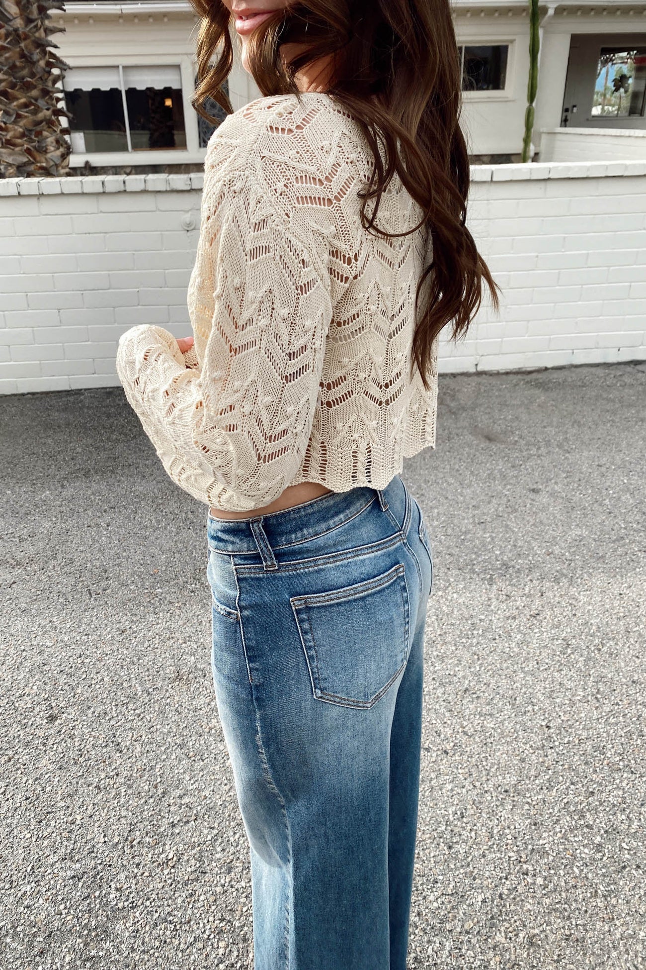 Crochet Longe Sleeve Top