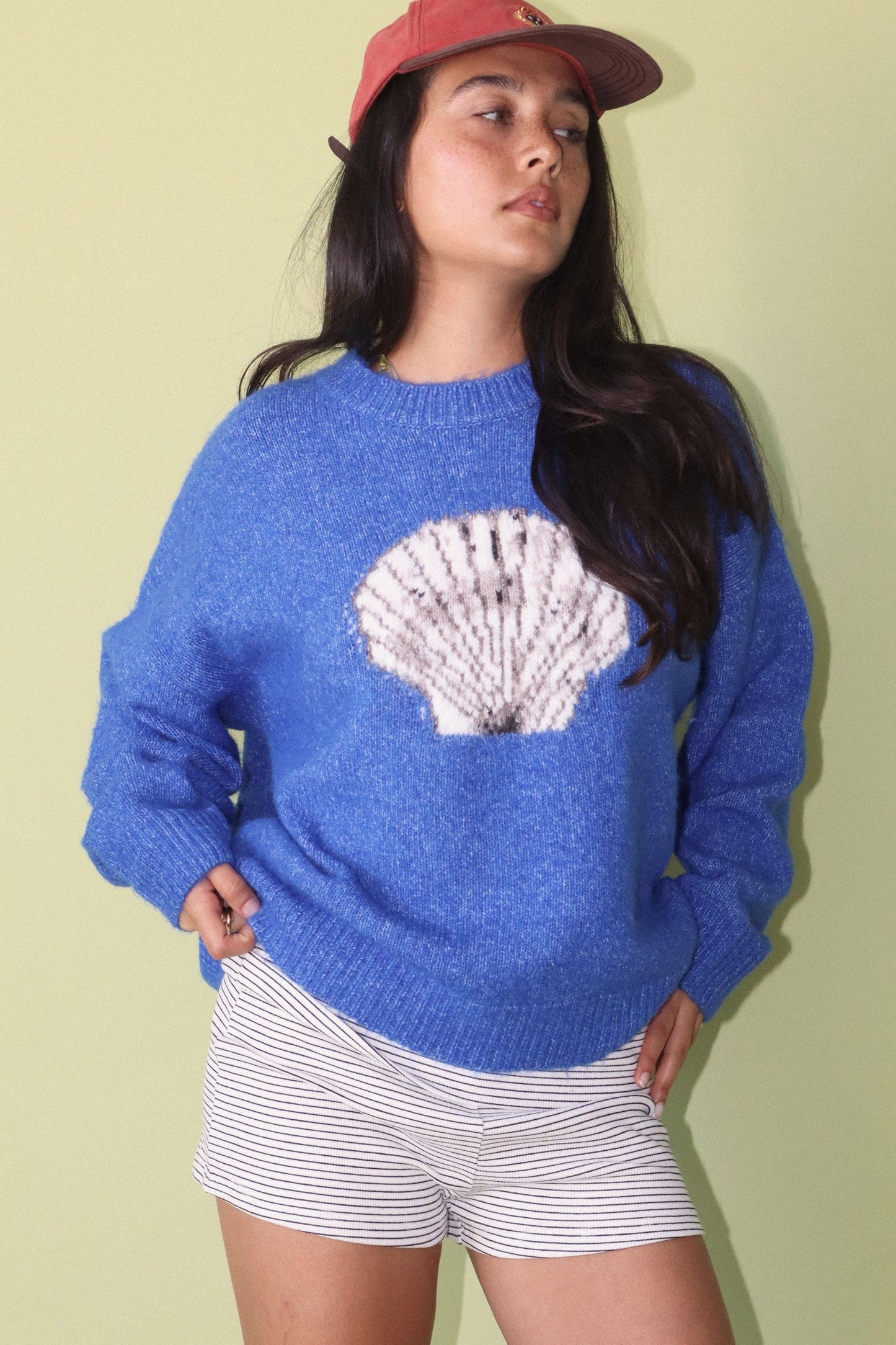 Seashell Knit Sweater