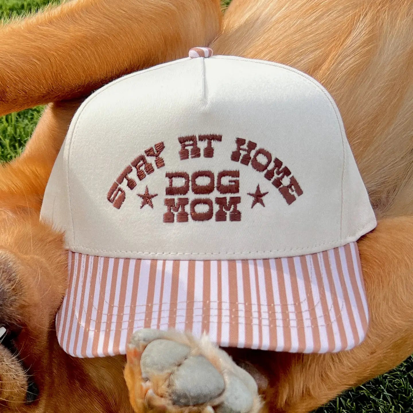 Stay at Home Dog Mom Trucker