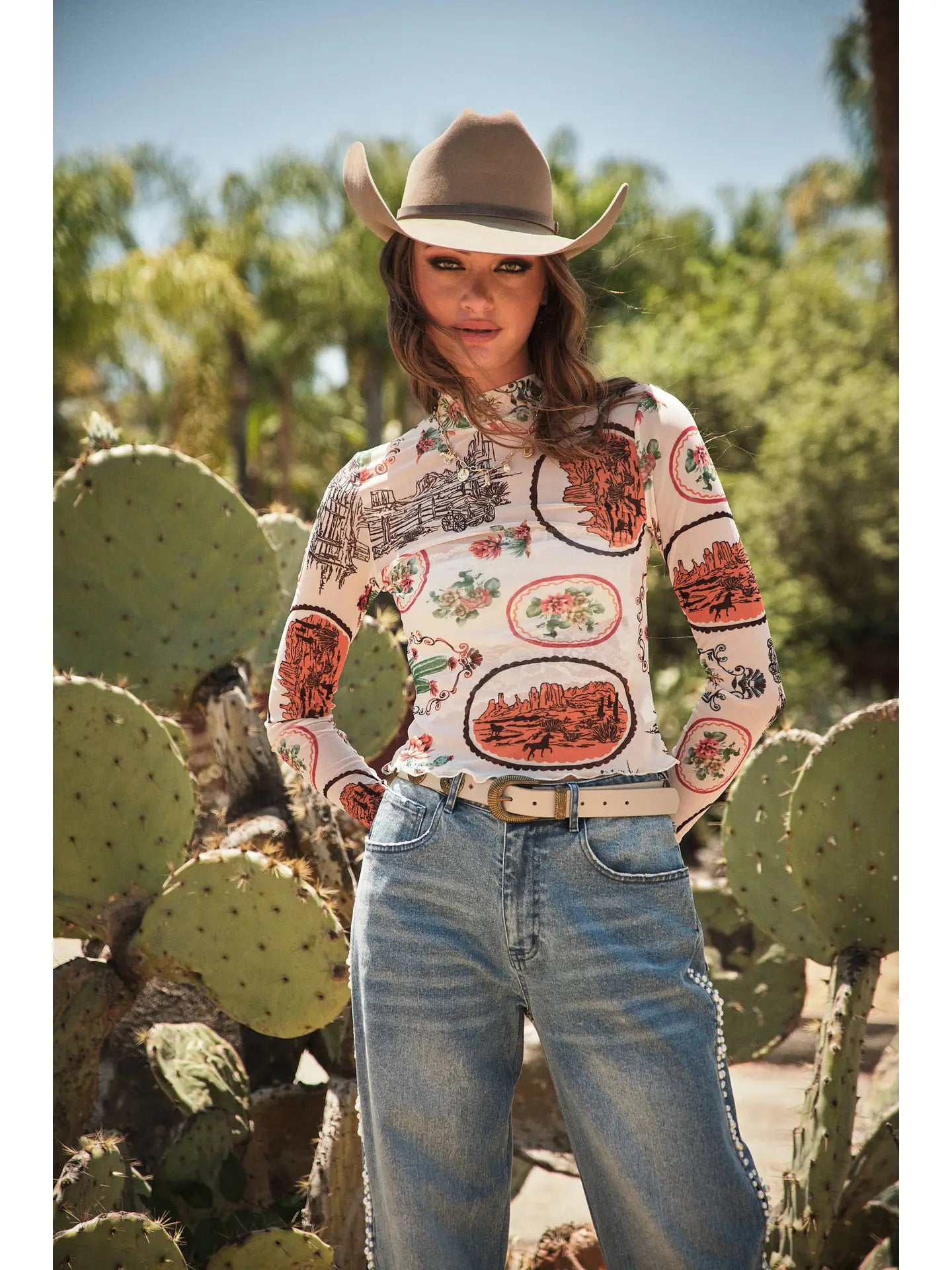 Western Postcard Mesh Top